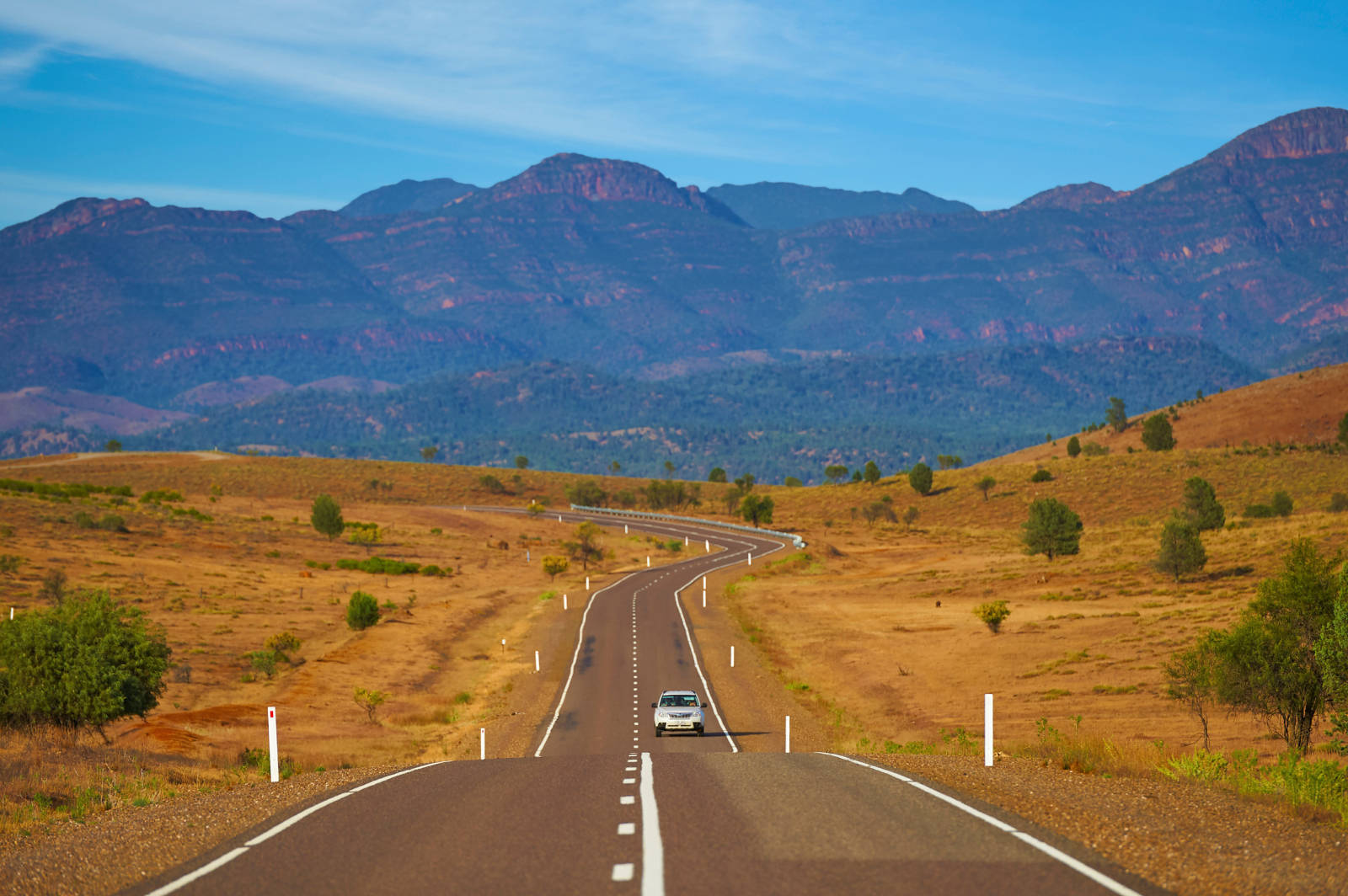 Flinders Ranges and Outback Majestic Oasis Apartments